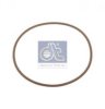 IVECO 17291781 Seal Ring